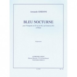 Bleu nocturne