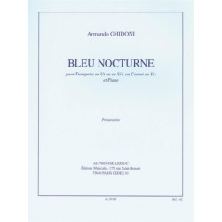 Bleu nocturne