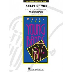 Shape of you