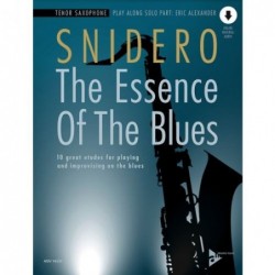 The Essence of The Blues