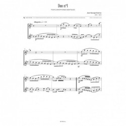 Concertino n°17