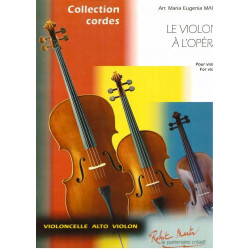 Le violon à l'opéra