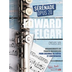 Sérénade Opus 20