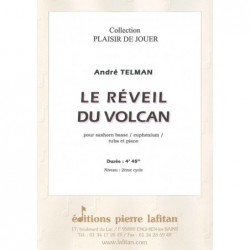 Le réveil du volcan