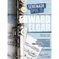 Sérénade Opus 20