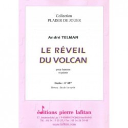 Le réveil du volcan