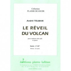 Le réveil du volcan