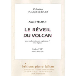 Le réveil du volcan