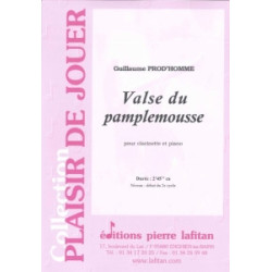 20 Etudes variées