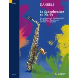 Le saxophoniste en herbe