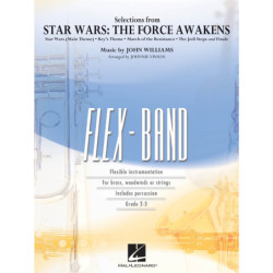 THE FORCE AWAKENS music...