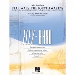 THE FORCE AWAKENS music...