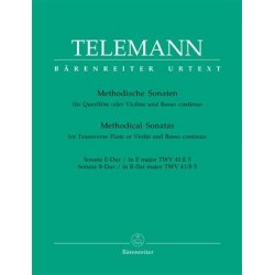 Methodische sonaten volume 4