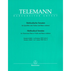 Methodische sonaten volume 4