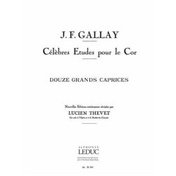 Douze grands caprices